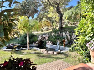 royal-palm-massage (5) 